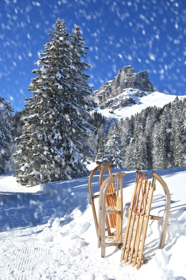Allod-park-26 By Interhome Appartamento Davos